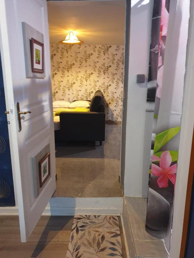Couleurs Des Iles Apartment Le Tampon Bagian luar foto