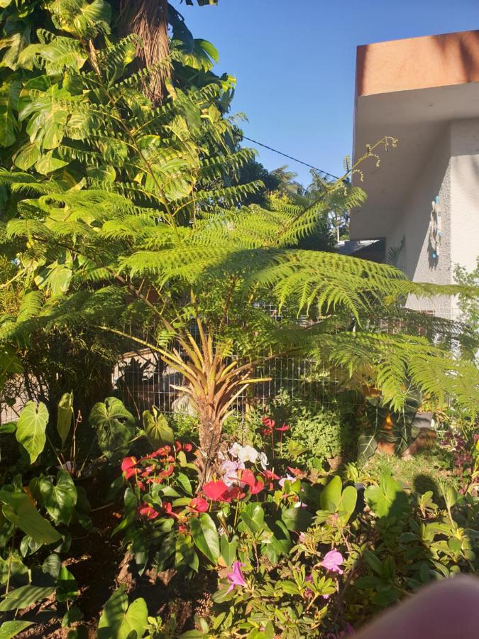 Couleurs Des Iles Apartment Le Tampon Bagian luar foto